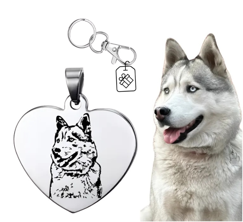 Placa personalizada para mascota con foto y nombre