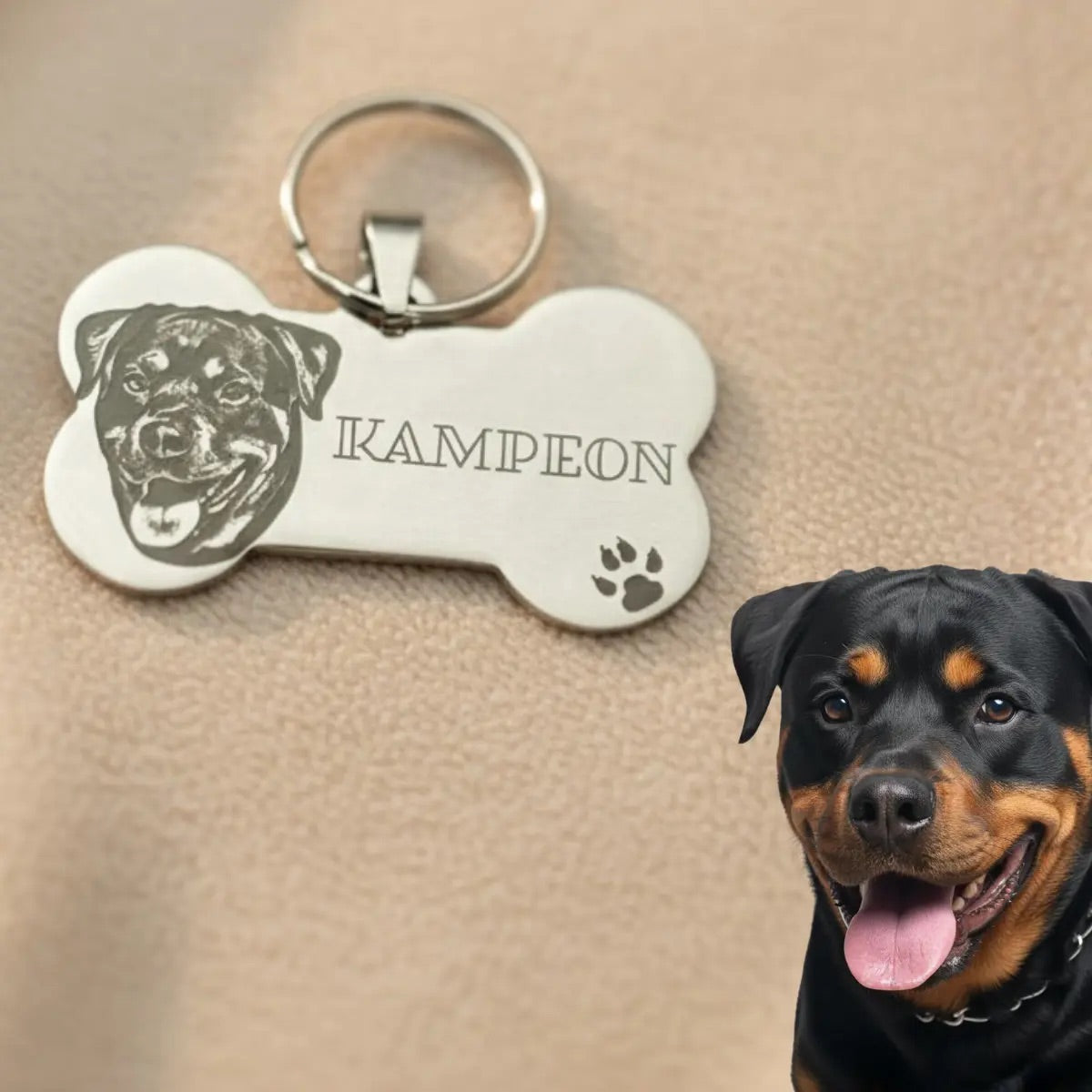 Placa personalizada para mascota con foto y nombre